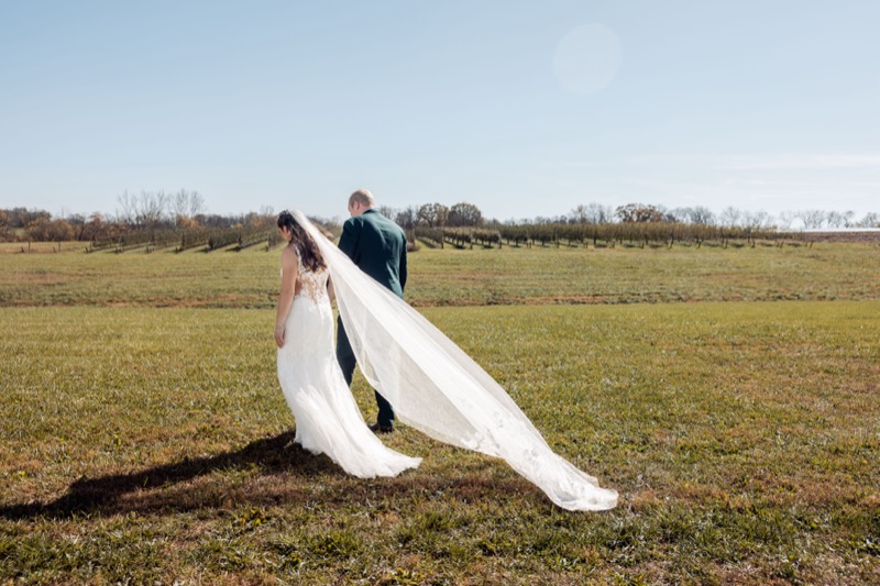 Wedding celebration photography